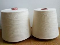 點擊查看詳細信息<br>標(biāo)題：純棉無捻紗 閱讀次數(shù)：3479