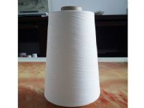 點擊查看詳細信息<br>標題：環(huán)錠紡純滌紗 閱讀次數(shù)：3500